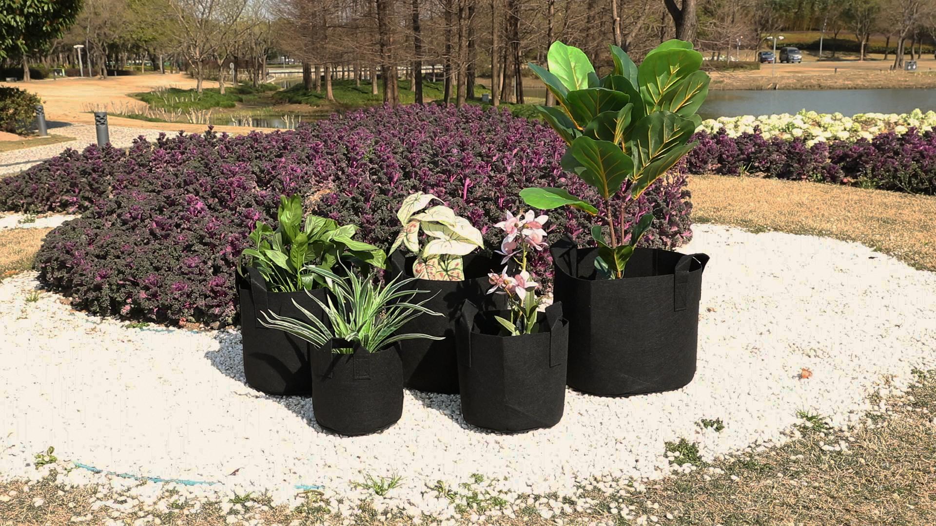 Amazon.com : JERIA 12-Pack 5 Gallon Grow Bags, 300G Thickened